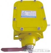 縱向撕裂開關(guān)YHZL-I、YHZL-IIBZL-220B防爆縱向撕裂保護(hù)裝置